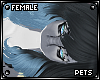 [Pets] Bini | hair v4