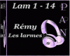 Remy - Les larmes