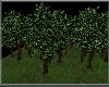 Add a forest