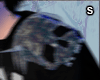 Skull WTH