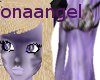 purple cat  skin