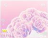 [HIME] Light Roses
