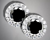 BLK Stud |Earrings
