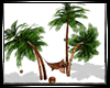 *CF*Palm hammock*