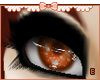 ℰ~ Redhood Eyes