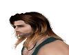 cabelo castanho longo