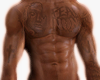 Vilad Skin Tats