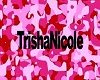 TrishaNicole Sign