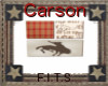 carson frames 1