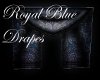 Royal Blue Drapes