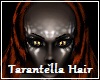 Tarantella Hair