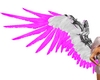 Pink Passion Wings