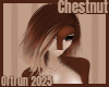 Chestnut Hair 4