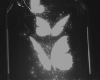 butterflies ෆ