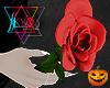 K| Addams Rose F