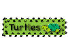 Turtle Sign Sticker