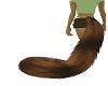 tail (new chari)
