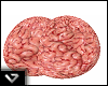 Brain In Head