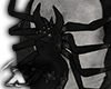 spider★彡