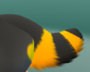 Bayvus tail v3