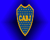 CUADRO BOCA JUNIORS