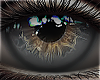 ♰ Ocean Eyes