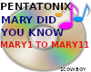 MARY DID YOU KNOW  DJ