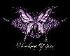Purple Butterfly gif