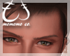 brown eyebrow