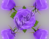Roses Marker Lavender