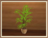 Groove Tall Plant 