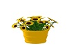 Yellow Sunflower Pot