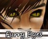 Yellow Furry Eyes