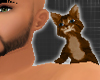 *-*Shoulder Kitten Brown