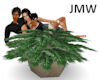 JMW~House Plant