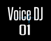 Voice DJ 01