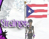 Puerto Rico FLAG
