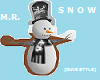 MR SNOW