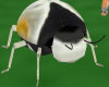 [ARG] Animated Ladybug