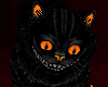 Animated Magic Cat