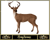 Winter Stag