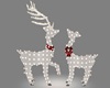 Reindeer & Lights