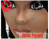 PP~Boa Head