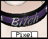 <Pp>Purple B*itch Collar