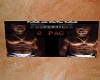 pac picture frame