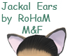 jackal Ears M&F