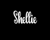 Shellie Necklace/F