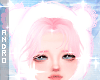𝑨┃White Bear ✮