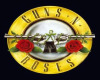 guns n roses logo