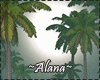 Night Under Palms